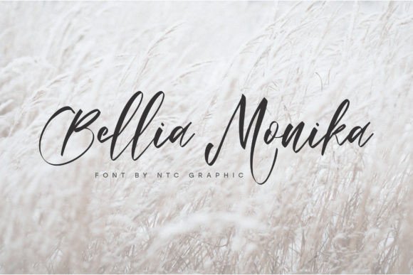 Bellia Monika: A Script Font for Editorial Elegance