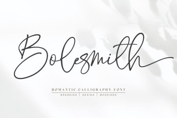 Bolesmith: A Handwritten Font That Elevates Brand Identity